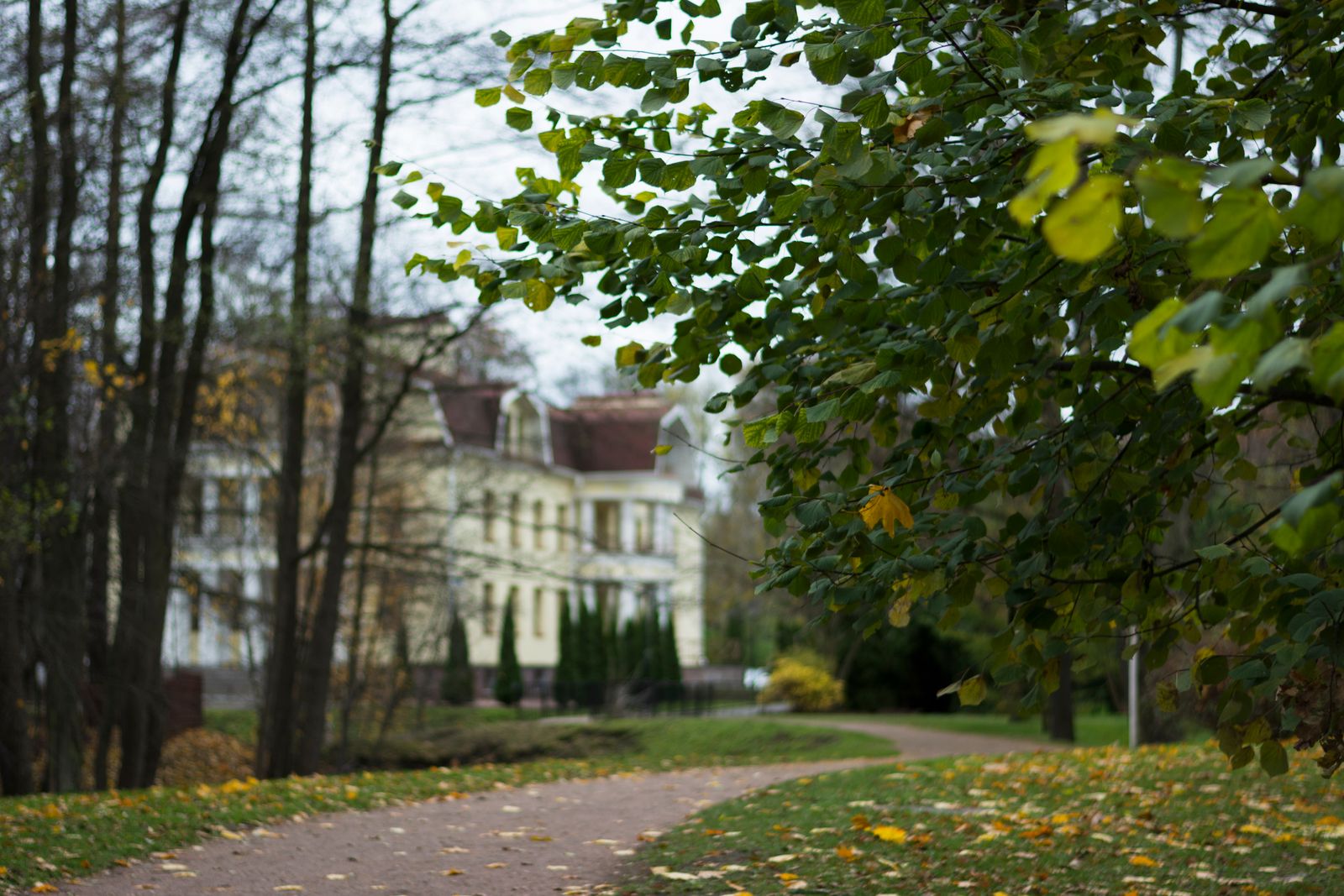 Tree-lined home in a Twin Cities neighborhood