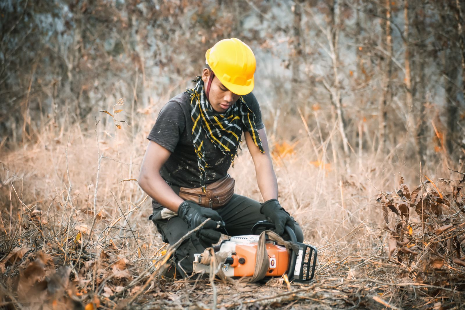 Crew member cutting a felled trunk into sections with a chainsaw
